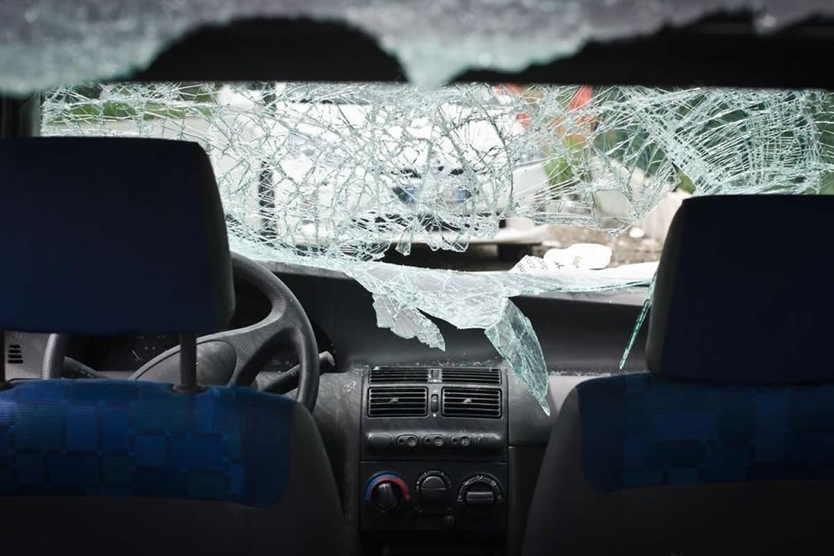 películas de seguridad Cali